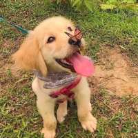 志设网设计师：⑨o后、玩世不恭