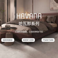 佛山金牌亚洲建材