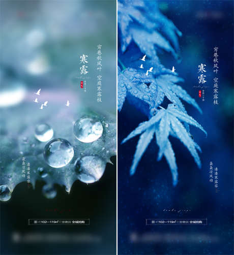 地产寒露节气海报_源文件下载_PSD格式_1080X2367像素-海报,地产,二十四节气,寒露,简约,水珠,树叶-作品编号:2021092611222703-志设-zs9.com