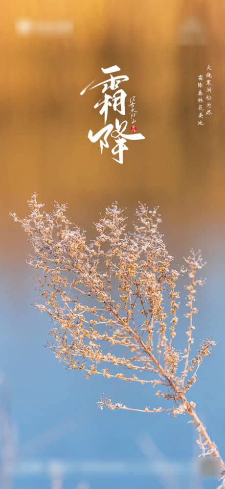 霜降节气海报_源文件下载_PSD格式_1080X2340像素-海报,房地产,霜降,二十四节气,简约,风景-作品编号:2021102010586855-志设-zs9.com