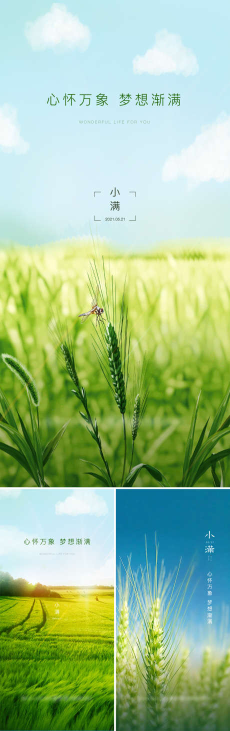 节气_源文件下载_AI格式_1500X3175像素-海报,地产,小满,二十四节气,草地,简约-作品编号:2021112614335437-志设-zs9.com