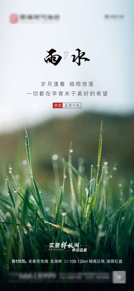 雨水二十四节气海报_源文件下载_CDR格式_1080X2340像素-海报,地产,雨水,二十四节气,绿叶,露珠,简约-作品编号:2022021810016170-志设-zs9.com