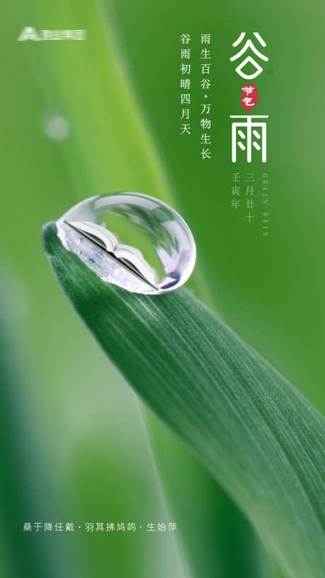 谷雨海报_源文件下载_PSD格式_1080X1920像素-海报,二十四节气,谷雨,春雨,露珠,简约-作品编号:2022041611199492-志设-zs9.com