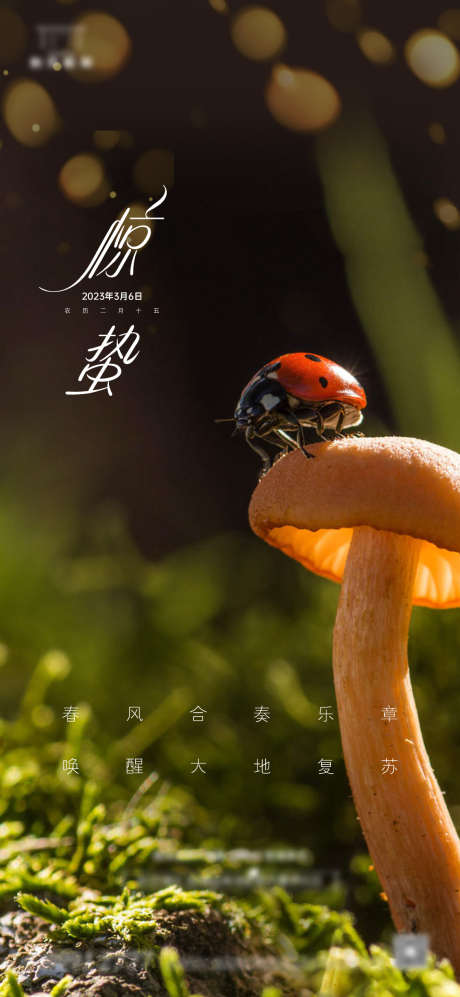 惊蛰节气海报_源文件下载_1169X2533像素-蘑菇,瓢虫,中国传统节日,节气,惊蛰-作品编号:2023030411266274-志设-zs9.com