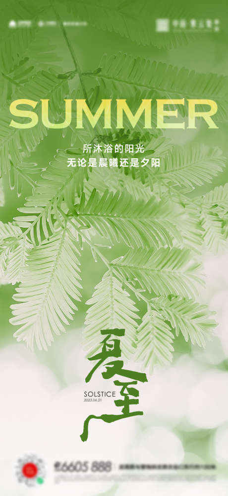 夏至立夏小暑大暑海报_源文件下载_AI格式_1436X3112像素-小暑,大暑,海报,夏至,立夏,叶子-作品编号:2023061100267372-志设-zs9.com