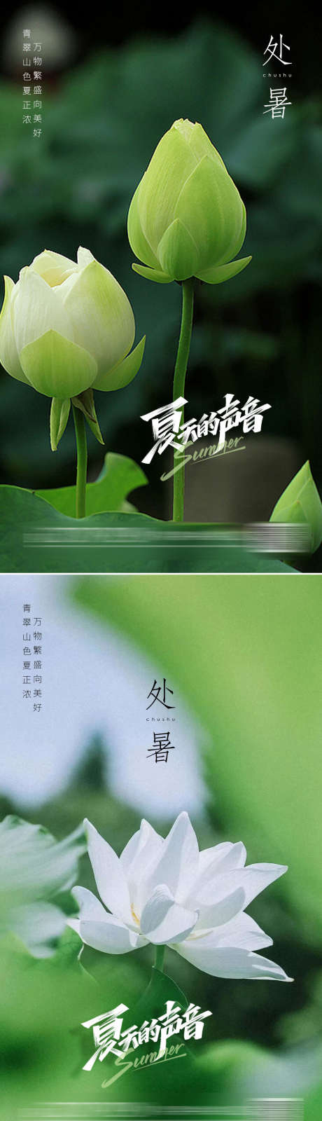 处暑节气海报_源文件下载_PSD格式_1080X3846像素-处暑,节气,海报,夏季,夏日,莲藕,莲花,莲叶,二十四节气,地产-作品编号:2023062111563275-志设-zs9.com