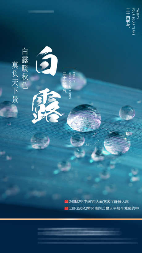 白露节气海报_源文件下载_PSD格式_750X1334像素-节气,水滴,露水,露珠,植物-作品编号:2023081413455008-志设-zs9.com