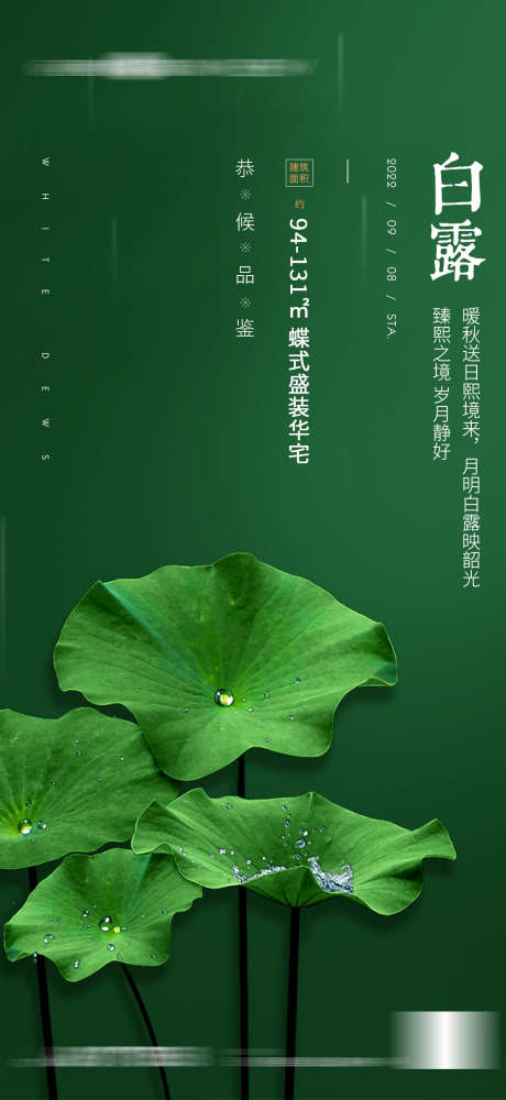 地产白露雨水质感海报_源文件下载_PSD格式_1080X2348像素-节气,海报,雨水,白露,荷叶-作品编号:2023100816408726-志设-zs9.com