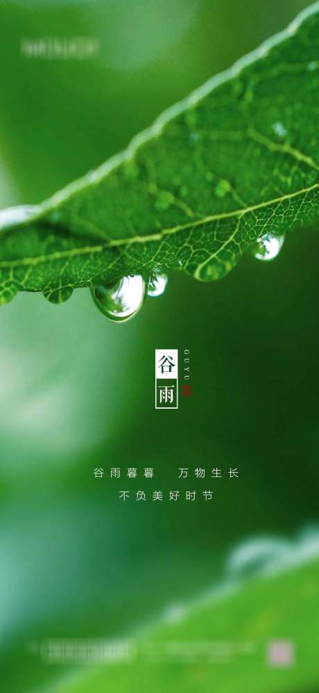 谷雨节气海报_源文件下载_PSD格式_1417X3071像素-,,二十四节气,,,地产,,节气,谷雨,海报-作品编号:2023103011151579-志设-zs9.com