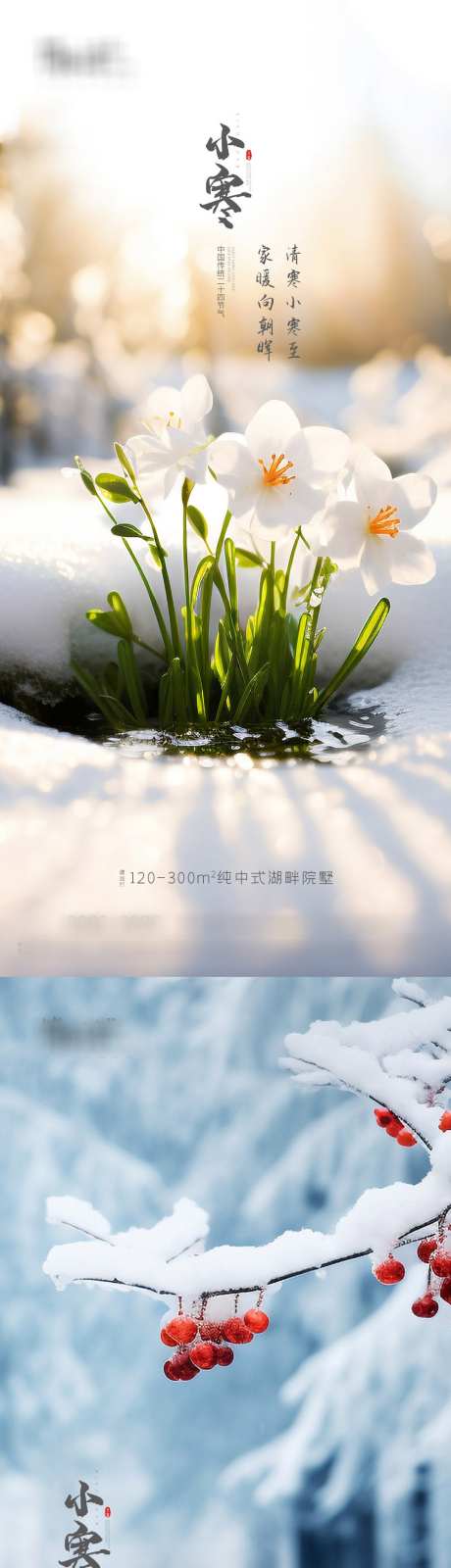 地产小寒大寒海报_源文件下载_PSD格式_1080X4678像素-冬天,,,雪景,小寒,,,地产,,,,二十四节气,,,节气-作品编号:2023122514205230-志设-zs9.com