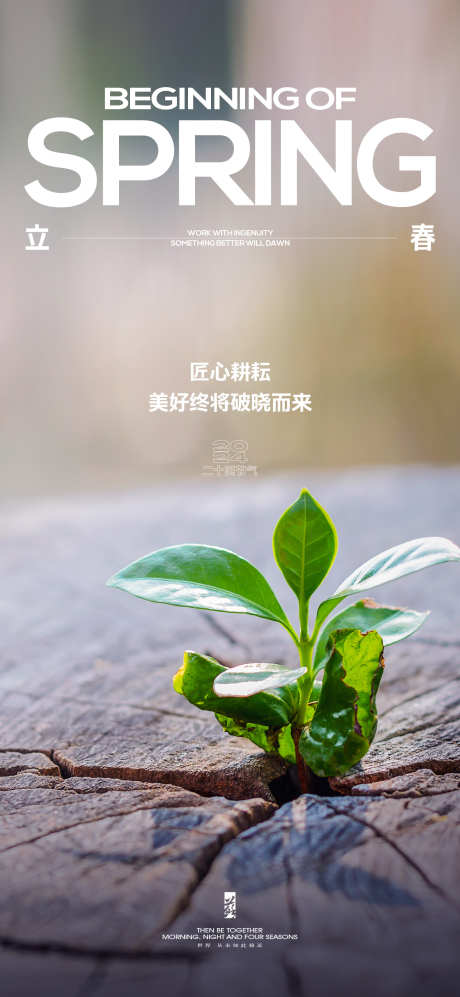 立春节气海报_源文件下载_PSD格式_1500X3250像素-海报,房地产,节气,春分,植物-作品编号:2024012410284662-志设-zs9.com