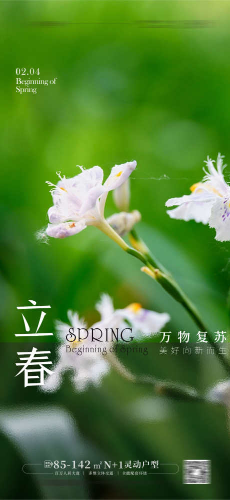 立春节气海报_源文件下载_CDR格式_1768X3840像素-立春节气海报,春分,立春,立春海报,二十四节气-作品编号:2024022010172484-志设-zs9.com