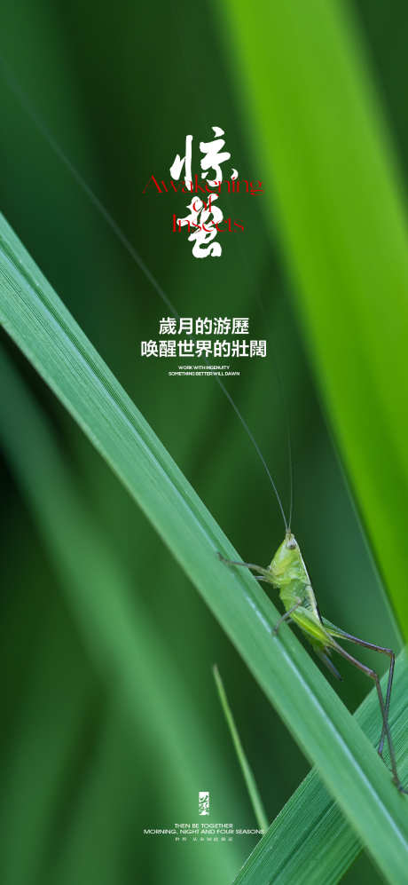 惊蛰节气海报_源文件下载_PSD格式_1500X3250像素-地产,绿叶,瓢虫,昆虫,惊蛰,节气,树叶,海报,蝴蝶-作品编号:2024022121581507-志设-zs9.com