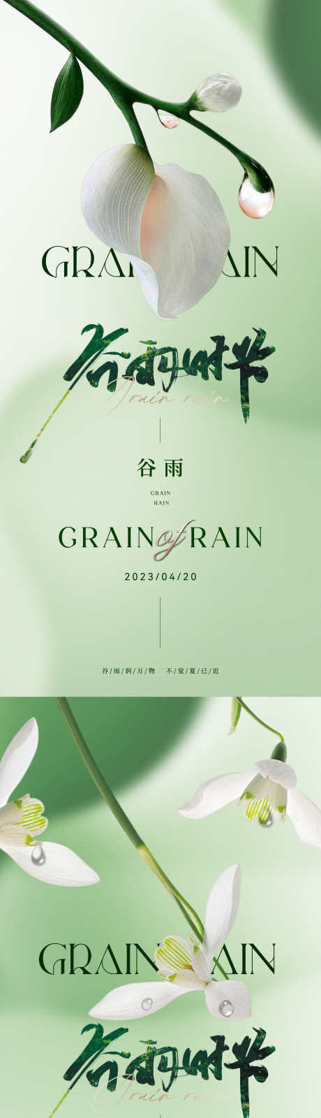 地产医美美业谷雨节气海报_源文件下载_1501X6513像素-高雅,奢华,轻奢,品质,朦胧,弥散,清新,唯美,质感,高级,雨滴,水滴,插花,花,花卉,海报,节气,谷雨,美业,医美,地产-作品编号:2024032311171948-志设-zs9.com