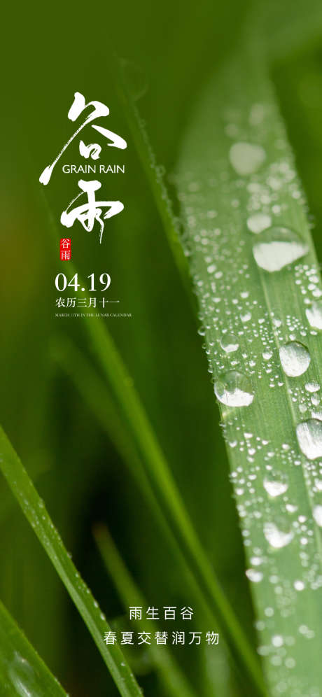 地产谷雨节气海报_源文件下载_PSD格式_1125X2436像素-意境,峡谷,春天,生机,露珠,雨水,谷雨,二十四节气,房地产,海报-作品编号:2024032522186638-志设-zs9.com