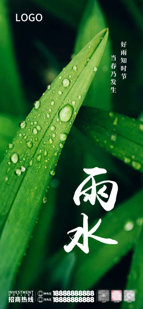 雨水节气海报_源文件下载_PSD格式_1080X2334像素-绿叶,公司,海报,节气,雨水-作品编号:2024040215042796-志设-zs9.com