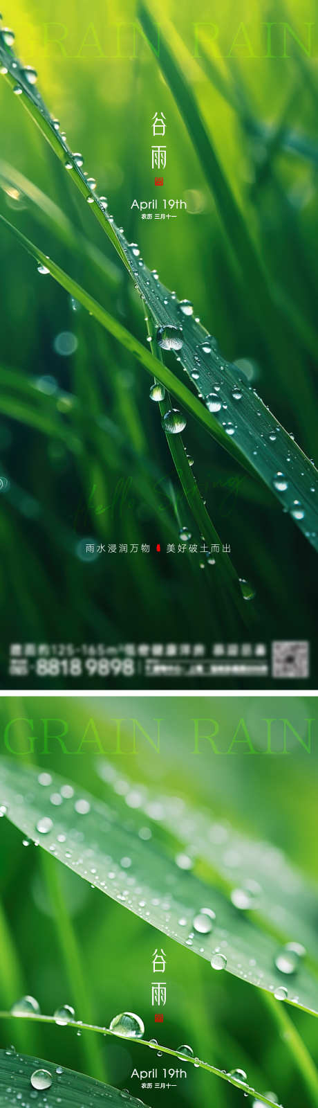 谷雨节气海报_源文件下载_2000X8701像素-草叶,下雨,雨天,雨滴,春季,春天,地产海报,节气,谷雨-作品编号:2024040819246455-志设-zs9.com