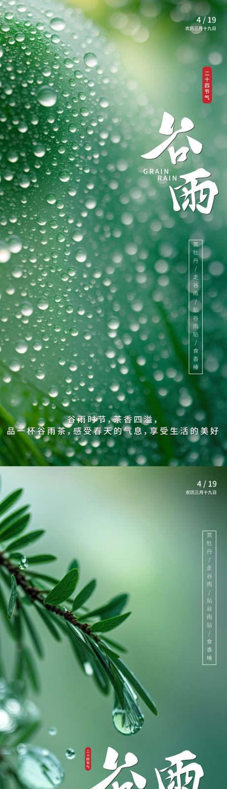 谷雨时节海报_源文件下载_AI格式_1080X4440像素-谷雨,节气,海报,春天,水滴,植物-作品编号:2024041815133840-志设-zs9.com