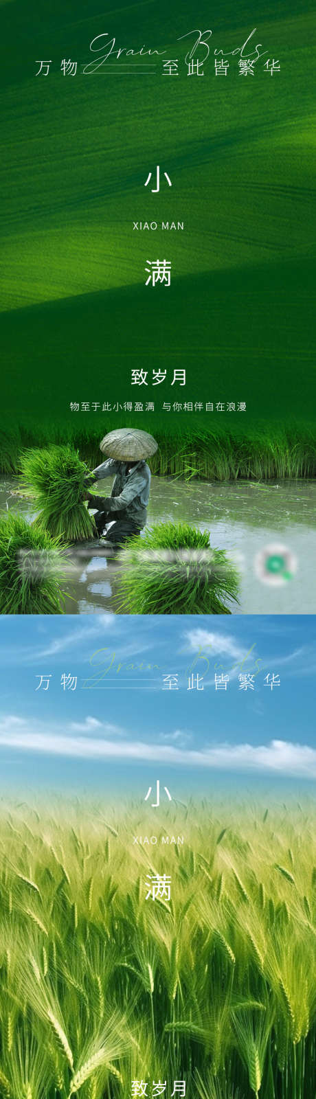 小满芒种节气海报_源文件下载_PSD格式_1080X4200像素-芒种,系列,景色,意境,二十四节气,传统,节日,地产,节气,海报,小满-作品编号:2024051409507583-志设-zs9.com