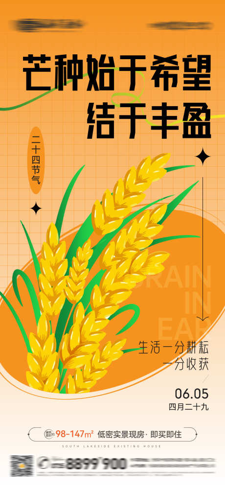 芒种节气麦穗插画微信海报_源文件下载_AI格式_1125X2436像素-芒种,二十四节气,网格,叶子,海报,微信,插画,麦穗,节气-作品编号:2024053123183849-志设-zs9.com