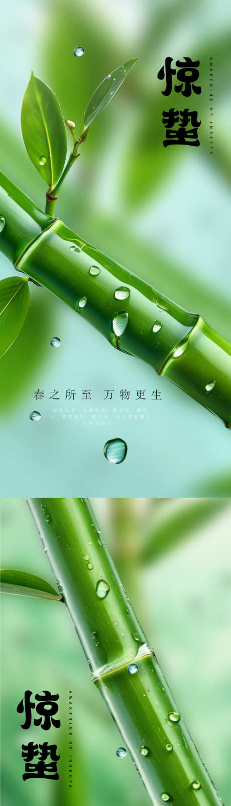 惊蛰清新海报_源文件下载_1080X2320像素-清新,简约,惊蛰,海报,节气-作品编号:2024072317236715-志设-zs9.com