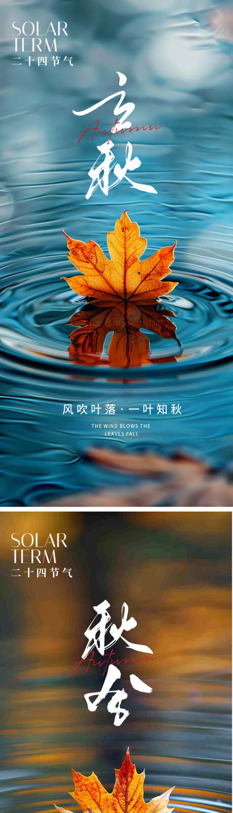 立秋秋分节气海报_源文件下载_PSD格式_1124X2437像素-海报,秋天,节气,秋分,立秋,枫叶-作品编号:2024072613133549-志设-zs9.com