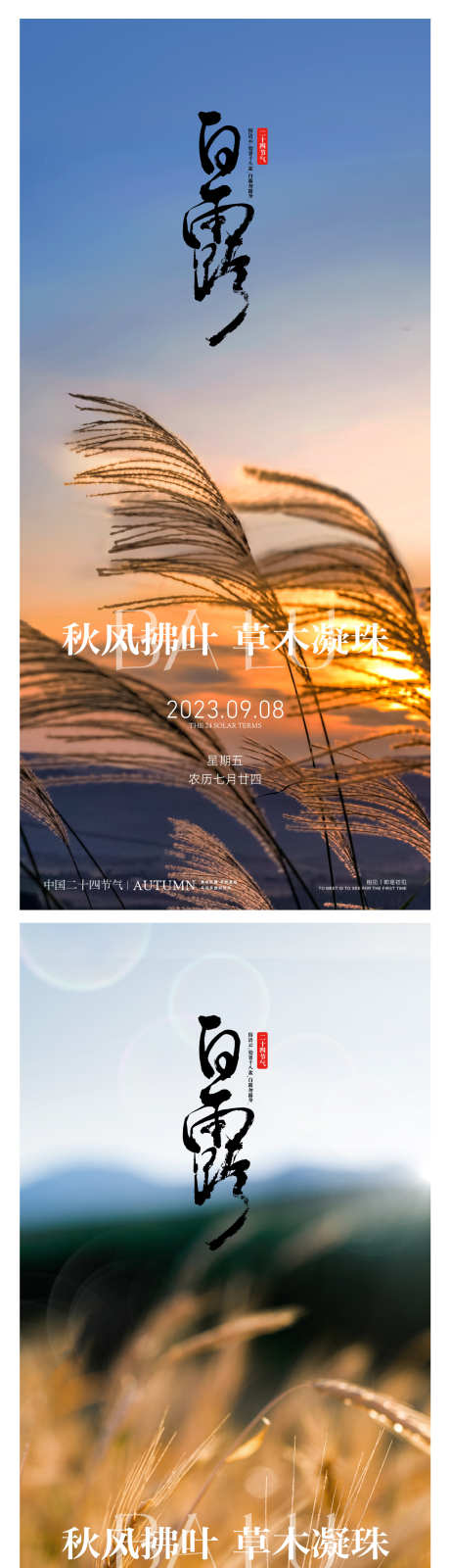 白露系列海报_源文件下载_1232X5011像素-意境,白露,地产,秋天,水珠,水滴,露水,节气,芦苇-作品编号:2024073111119485-志设-zs9.com