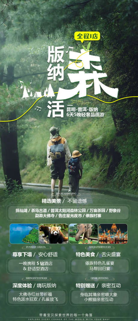 版纳旅游亲子海报_源文件下载_PSD格式_1080X2700像素-大象,可爱,大气,雨林,亲子,清新,版纳,云南,旅游,风景,景区-作品编号:2024082711277135-志设-zs9.com