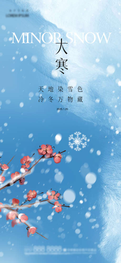 大寒节气海报_源文件下载_PSD格式_1080X2340像素-雪花,小寒,大寒-作品编号:2025011516516092-志设-zs9.com