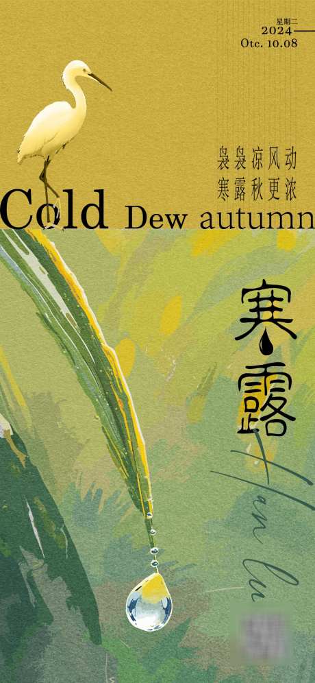 寒露节气海报_源文件下载_AI格式_1125X2436像素-白鹭,植物,露珠-作品编号:2025030516225453-志′设`网