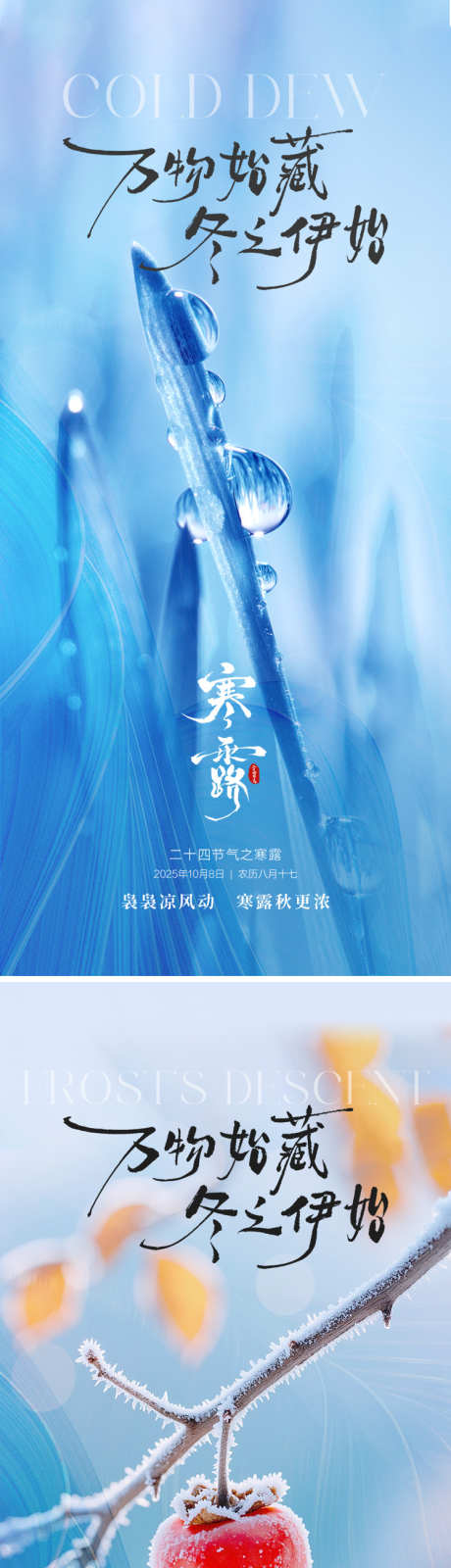 二十四节气寒露霜降海报_源文件下载_PSD格式_750X3258像素-意境,露珠,柿子-作品编号:2025092315341349-志˙设ˌ网