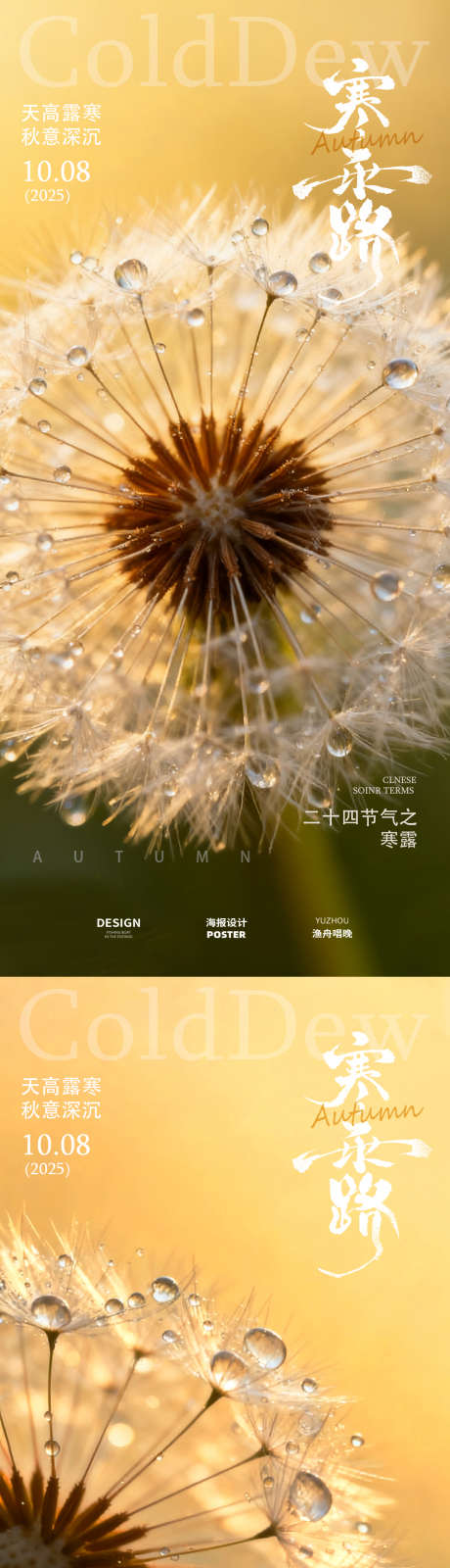 寒露露珠节气海报_源文件下载_PSD格式_1080X4672像素-海报,寒露,节气-作品编号:2025093010078109-志˱设ʹ֣֤֚֫֗ׄ网